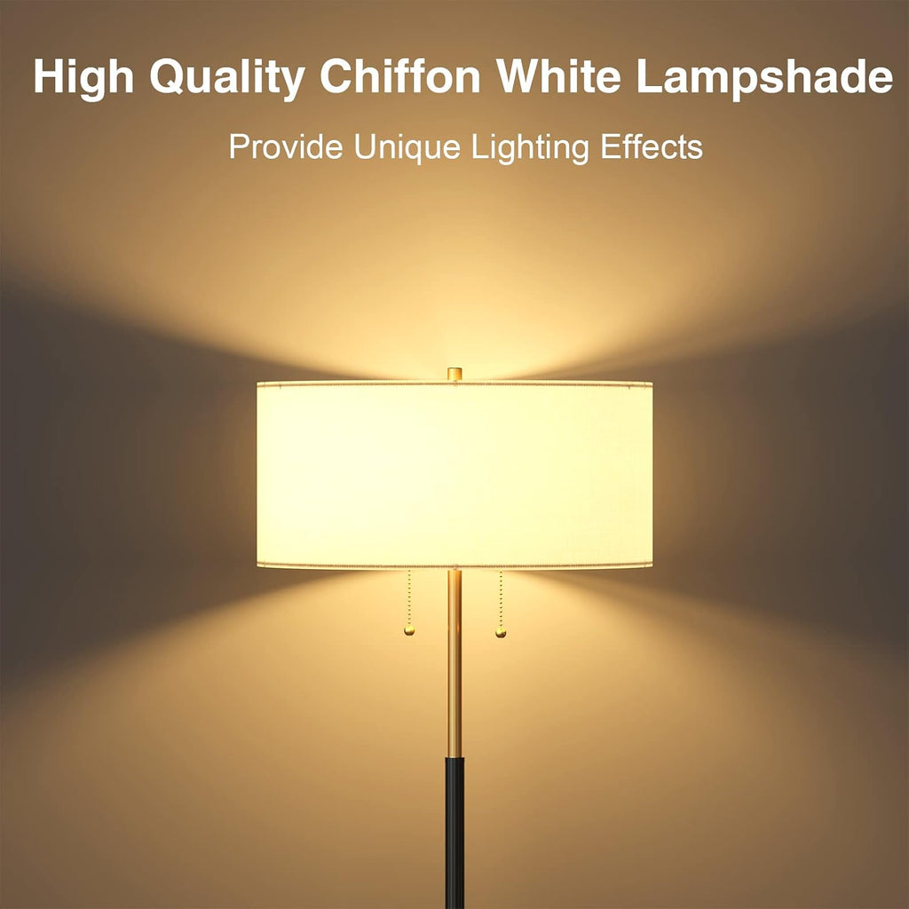 3CCT Black Gold 2-Light Floor Lamp