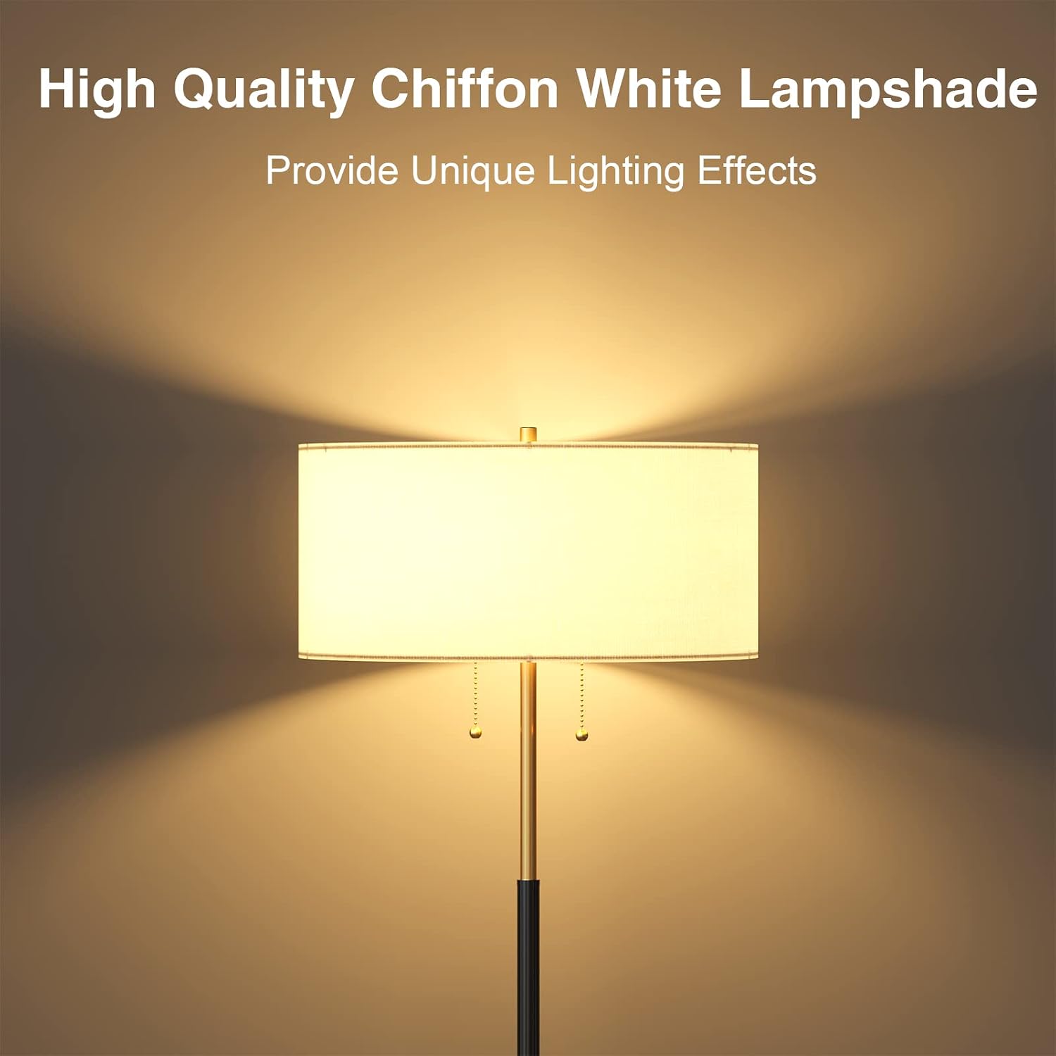 3CCT Black Gold 2-Light Floor Lamp
